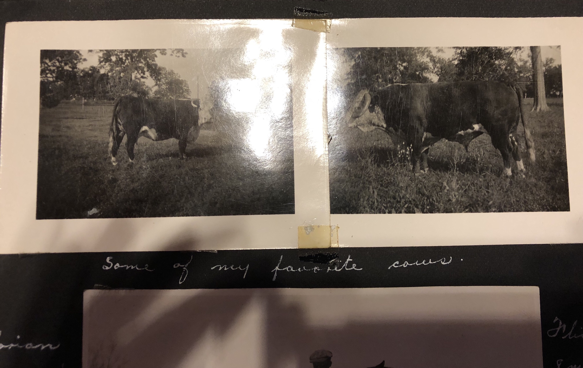 6B6947FA-42FF-4CF7-AFD0-02ECD0CF8804