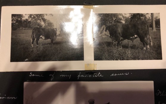 6B6947FA-42FF-4CF7-AFD0-02ECD0CF8804